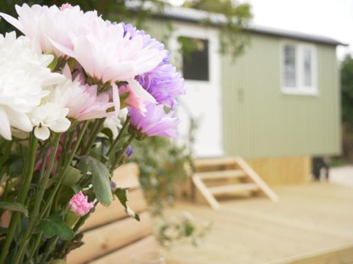 Wolstonbury Getaway Villa Hassocks Exterior photo